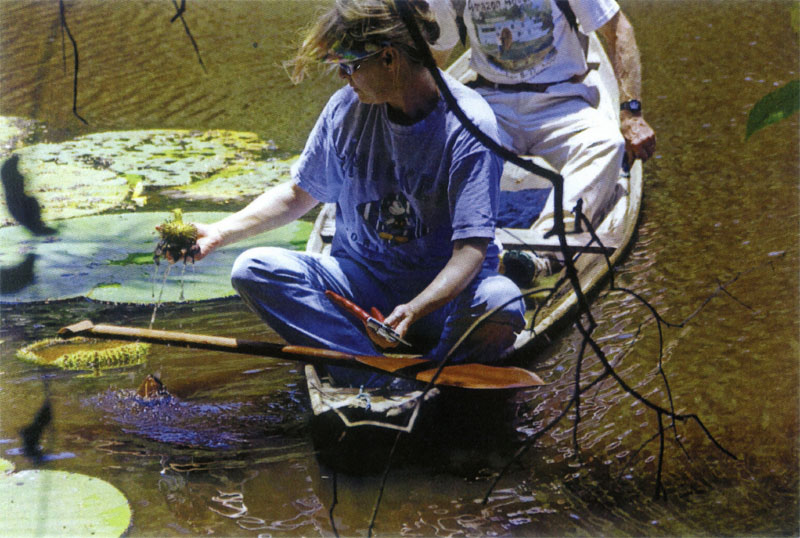 Angie & Patrick Collecting Seed Pods Small